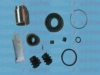 AUTOFREN SEINSA D41195C Repair Kit, brake caliper